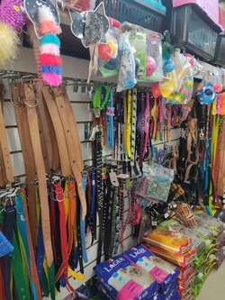 AGROVETERINARIA CASUPA 