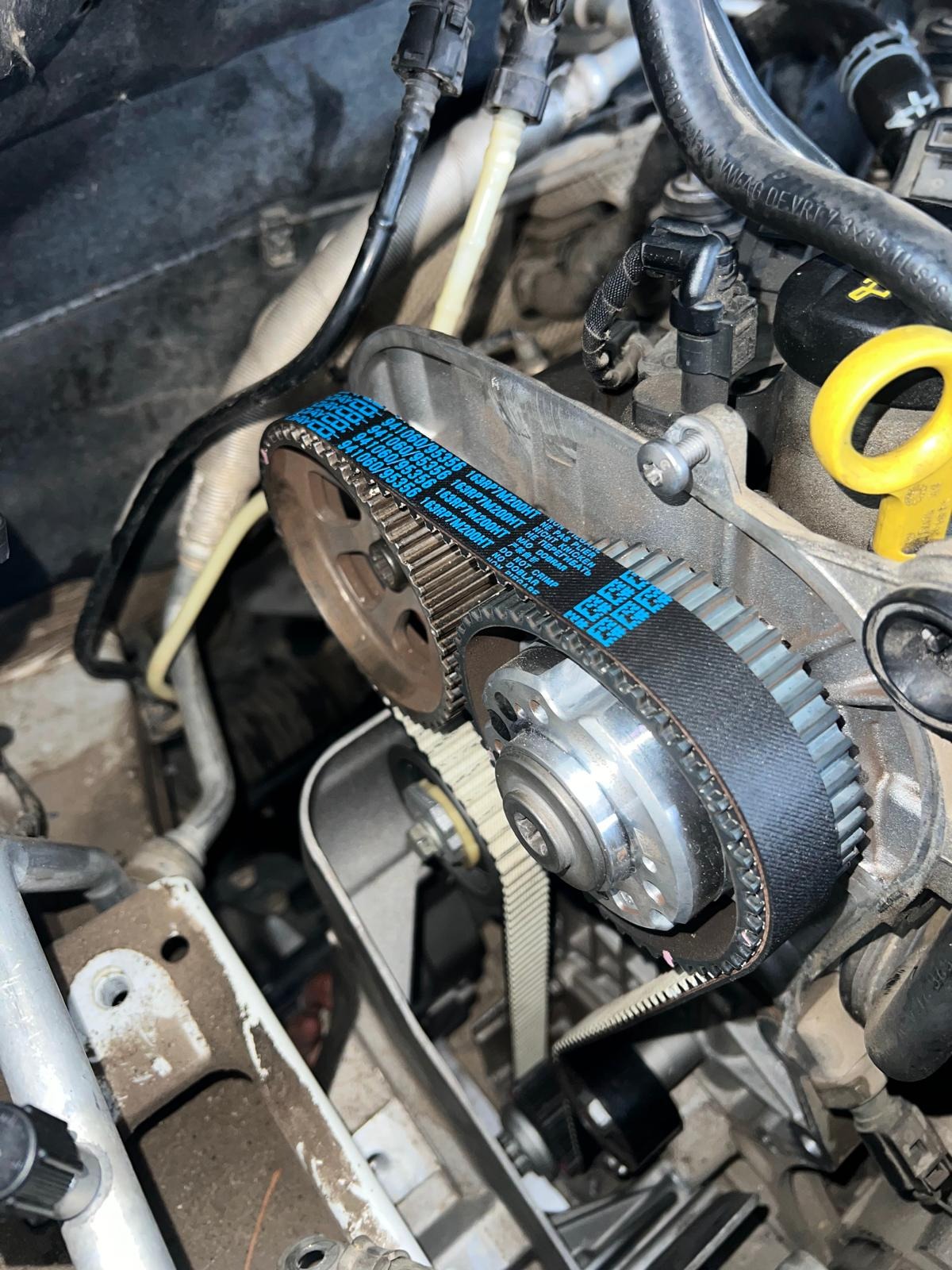 Casanova Performance  