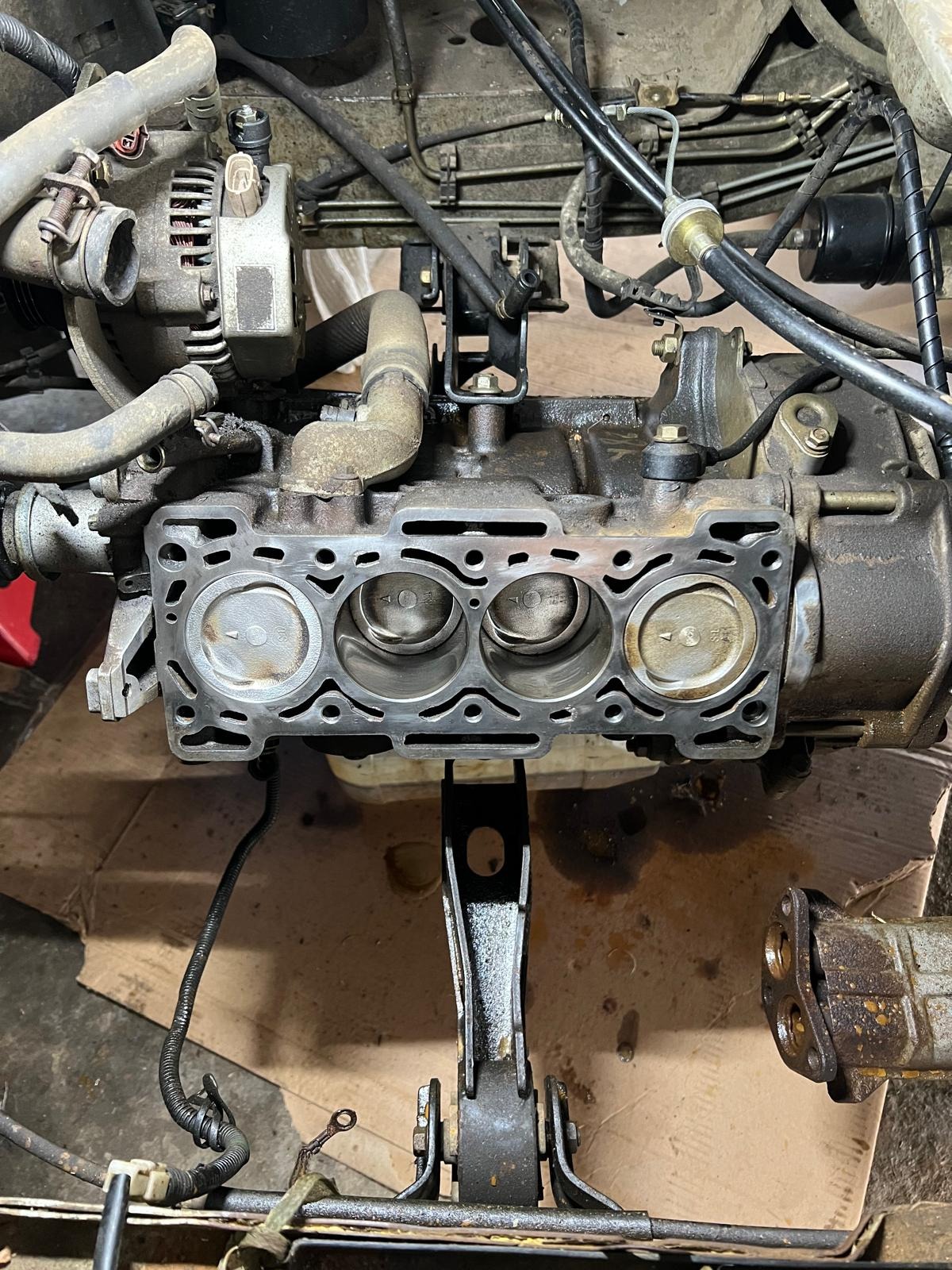 Casanova Performance  