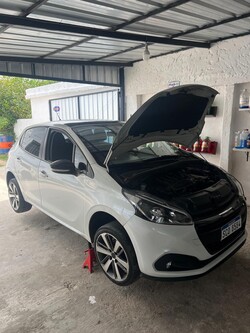 Casanova Performance 