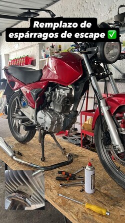 Casanova Performance 