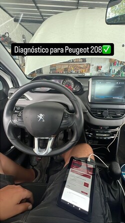 Casanova Performance 