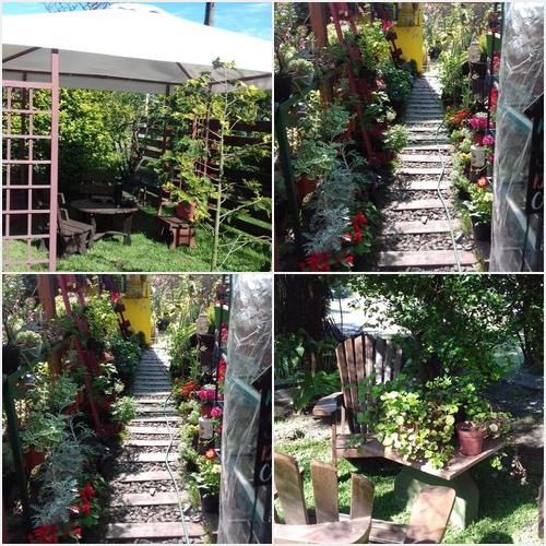 Nuestra Casa VIVERO MARANTA