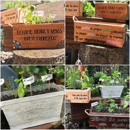 JARDINERAS VIVERO MARANTA