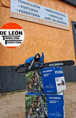 DE LEON TORNILLERIA Y FERRETERIA 