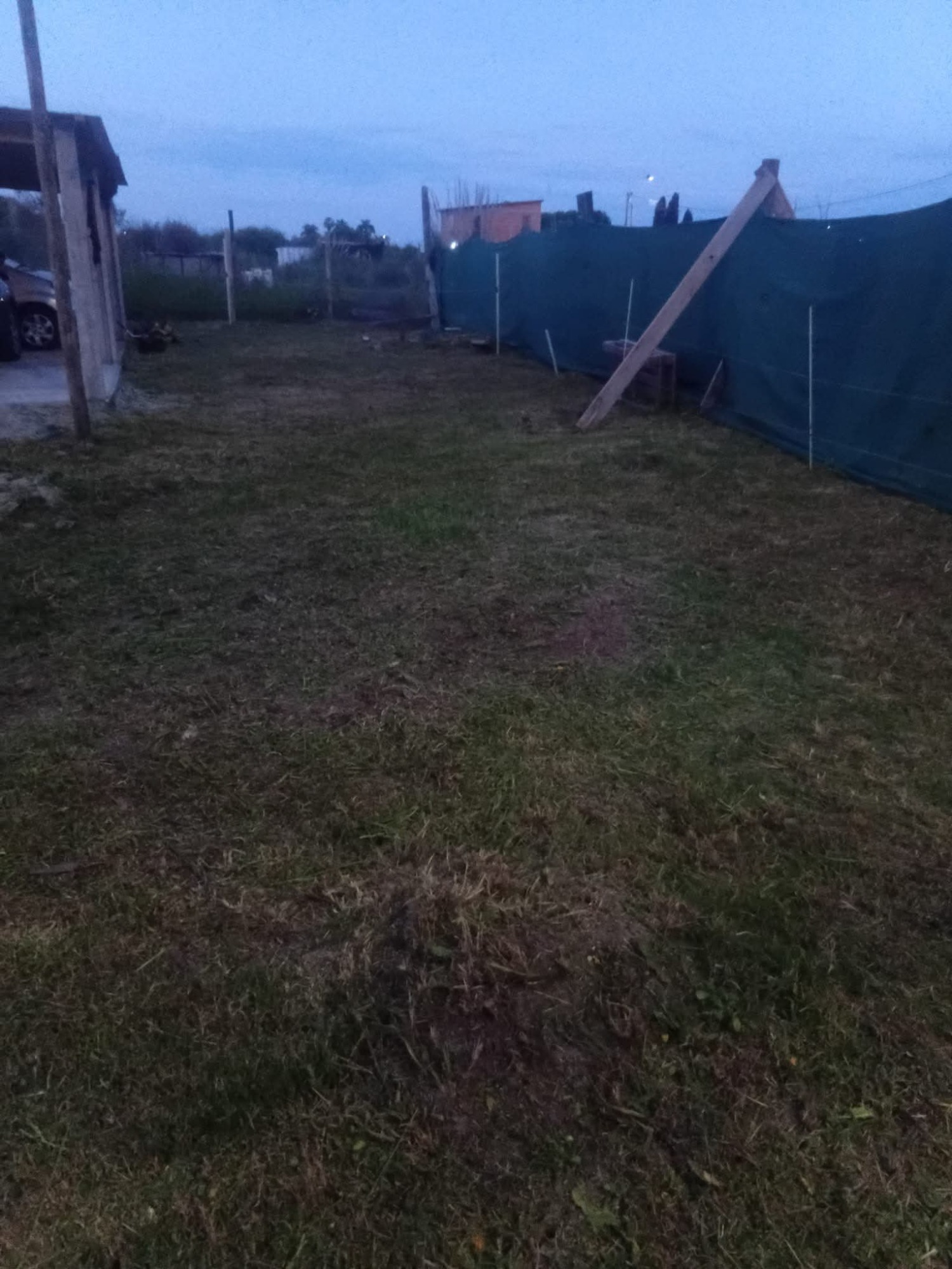 Parques y Jardines Cris - Dai  