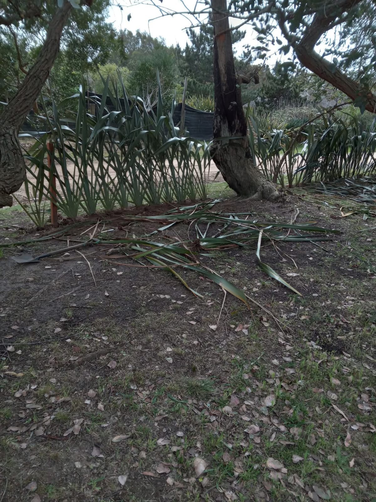 Parques y Jardines Cris - Dai  