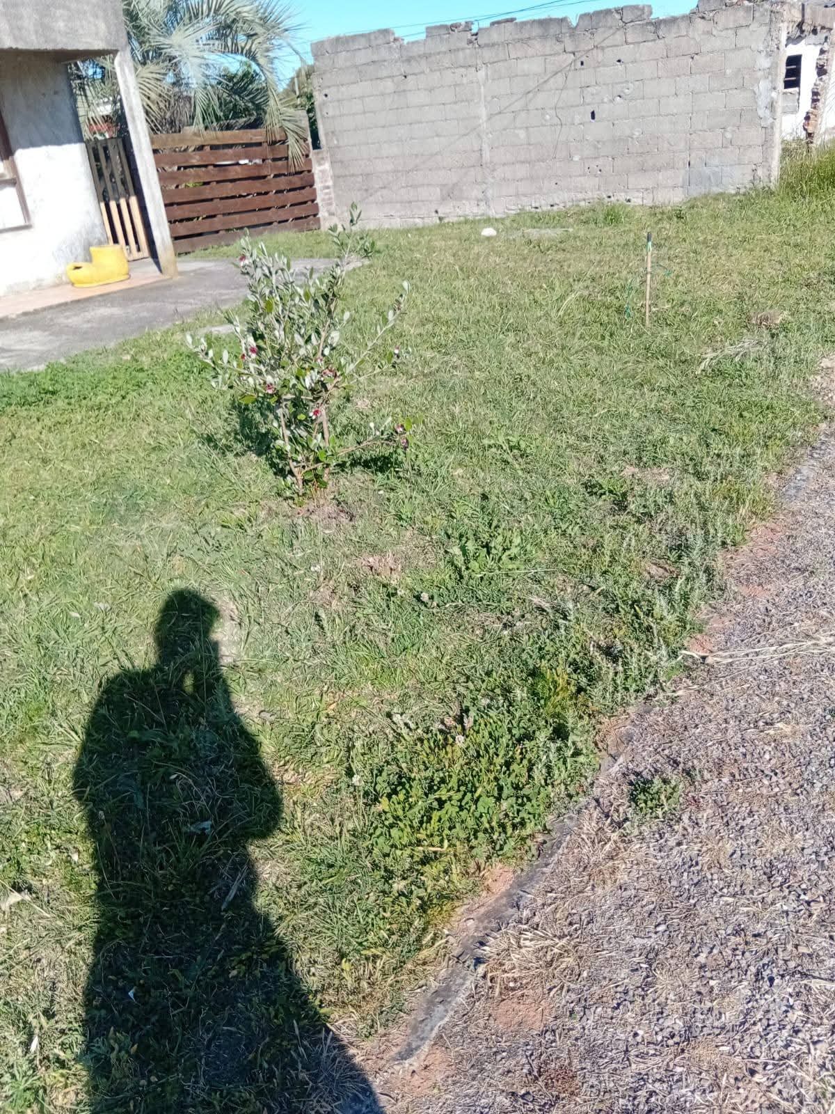 Parques y Jardines Cris - Dai  