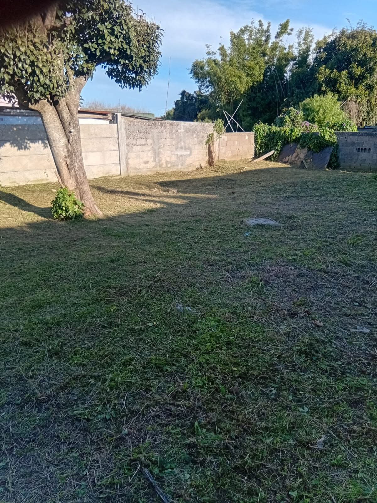 Parques y Jardines Cris - Dai  