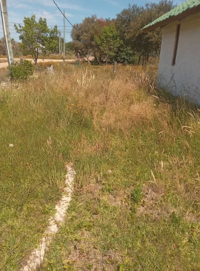 Parques y Jardines Cris - Dai  