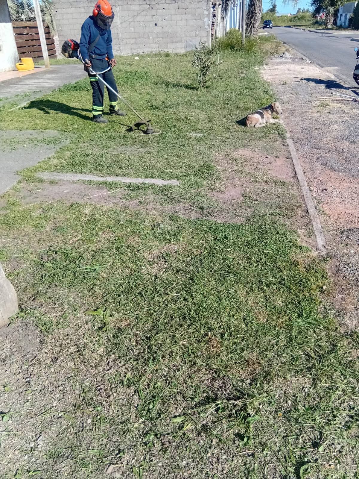 Parques y Jardines Cris - Dai  