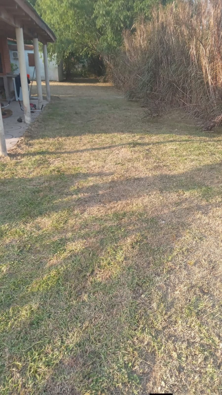 Parques y Jardines Cris - Dai  