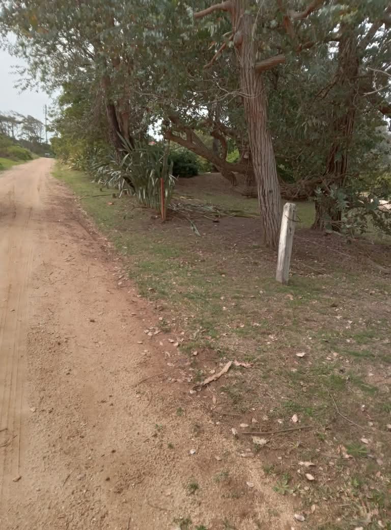 Parques y Jardines Cris - Dai  