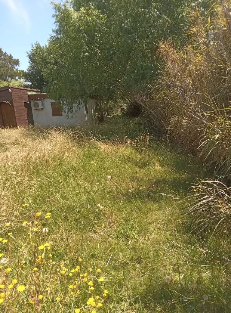 Parques y Jardines Cris - Dai  