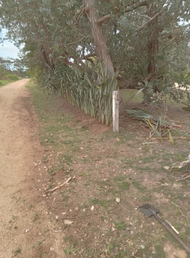 Parques y Jardines Cris - Dai  