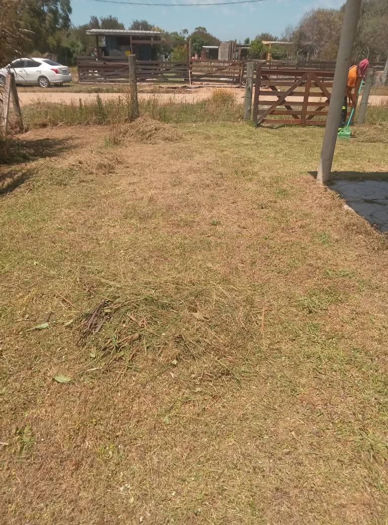 Parques y Jardines Cris - Dai  