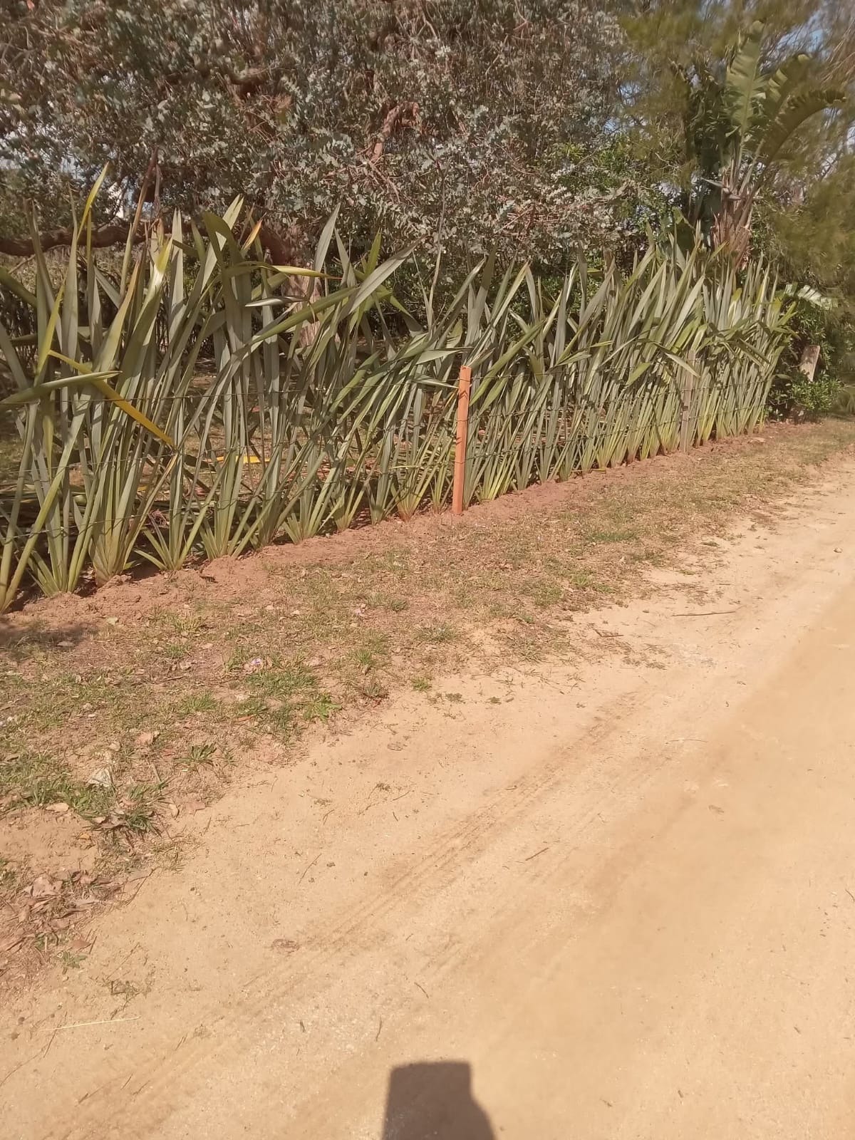 Parques y Jardines Cris - Dai  