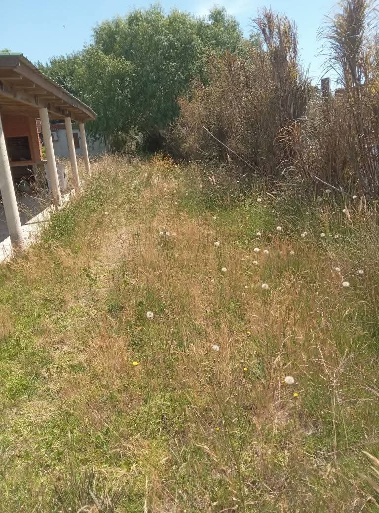 Parques y Jardines Cris - Dai  