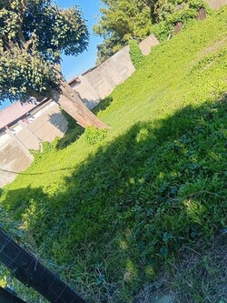 Parques y Jardines Cris - Dai 