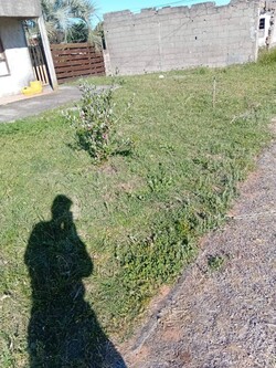 Parques y Jardines Cris - Dai 