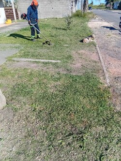 Parques y Jardines Cris - Dai 