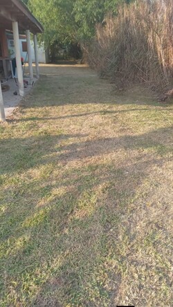 Parques y Jardines Cris - Dai 