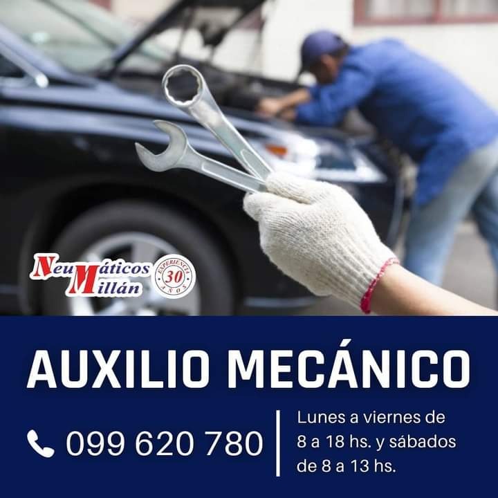 NEUMATICOS MILLAN  