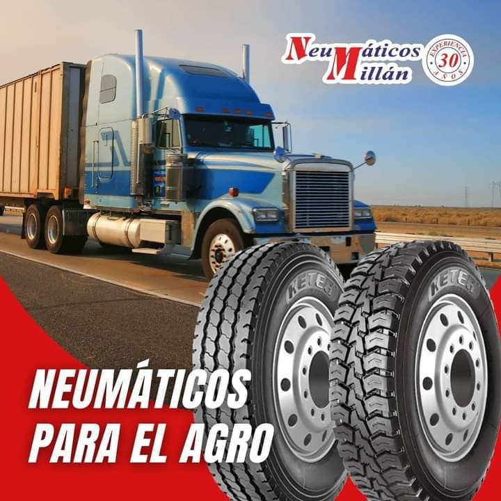 NEUMATICOS MILLAN  