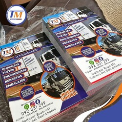 TM Transportes 