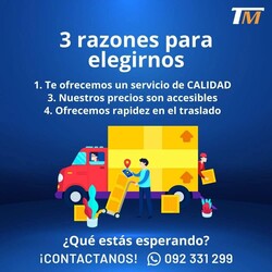 TM Transportes 