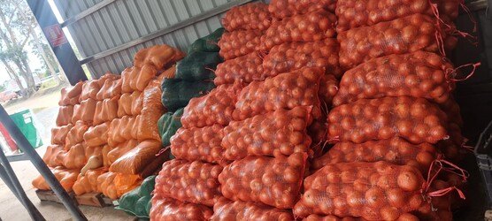 MERCADO LA QUERENCIA 