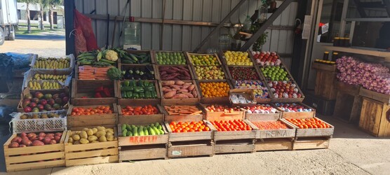 MERCADO LA QUERENCIA 