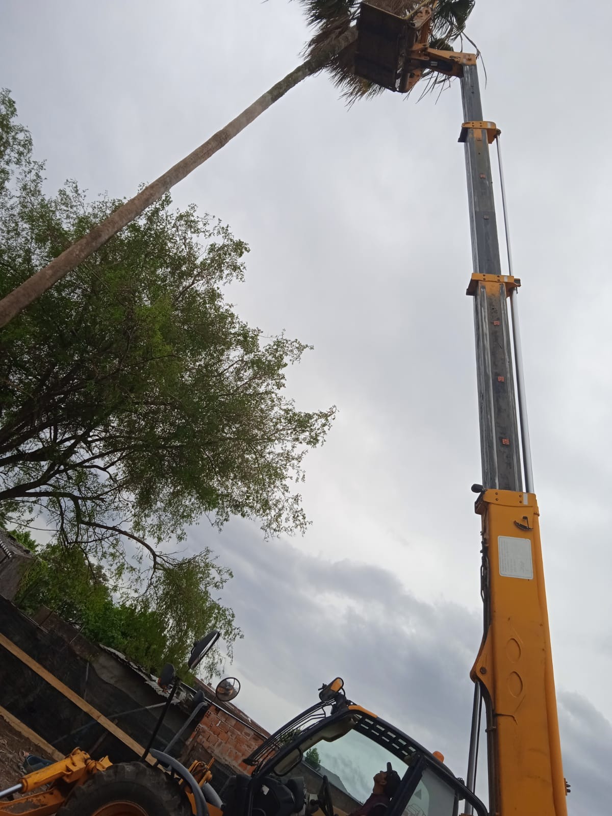 RC Logística y RC Vertical  