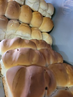 PANADERIA CERRO COLORADO 