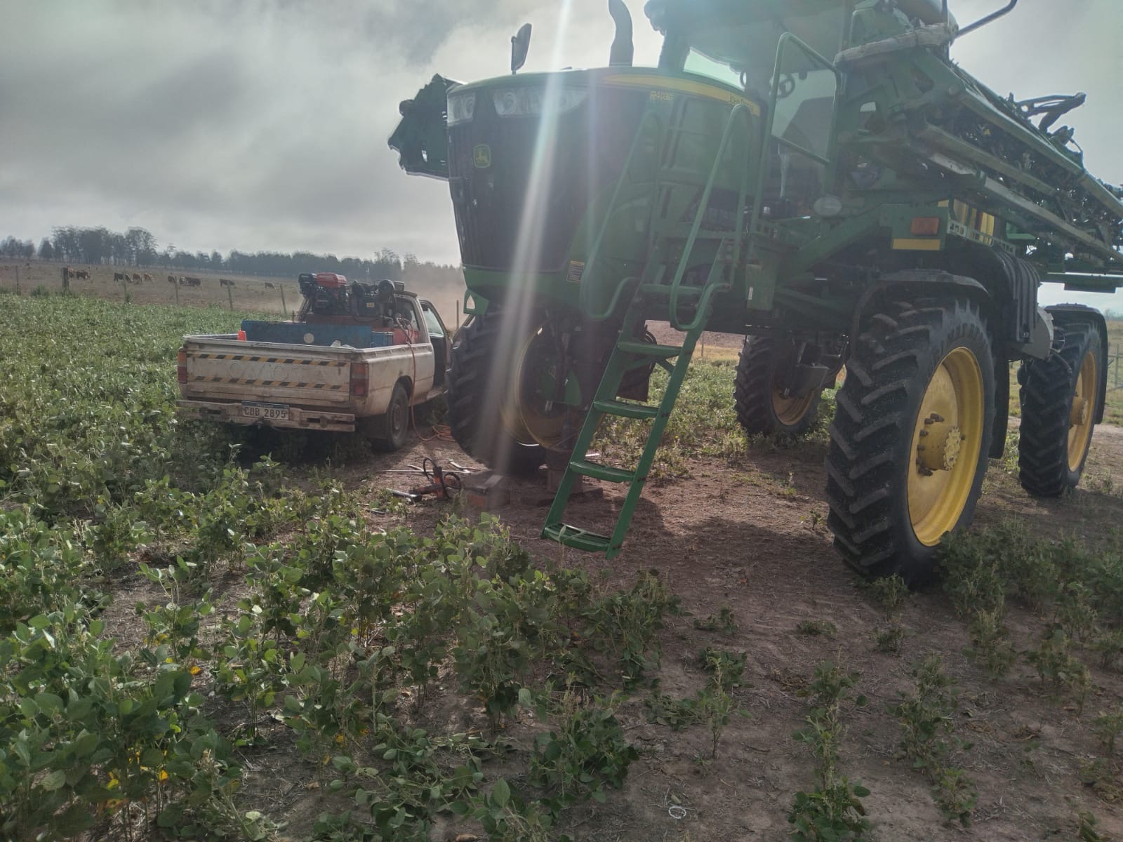 GOMERÍA DUTRA MÓVIL  