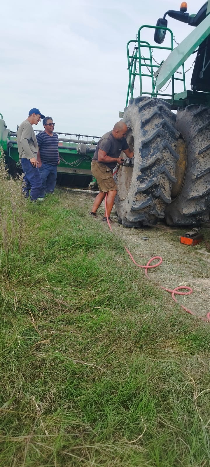 GOMERÍA DUTRA MÓVIL  