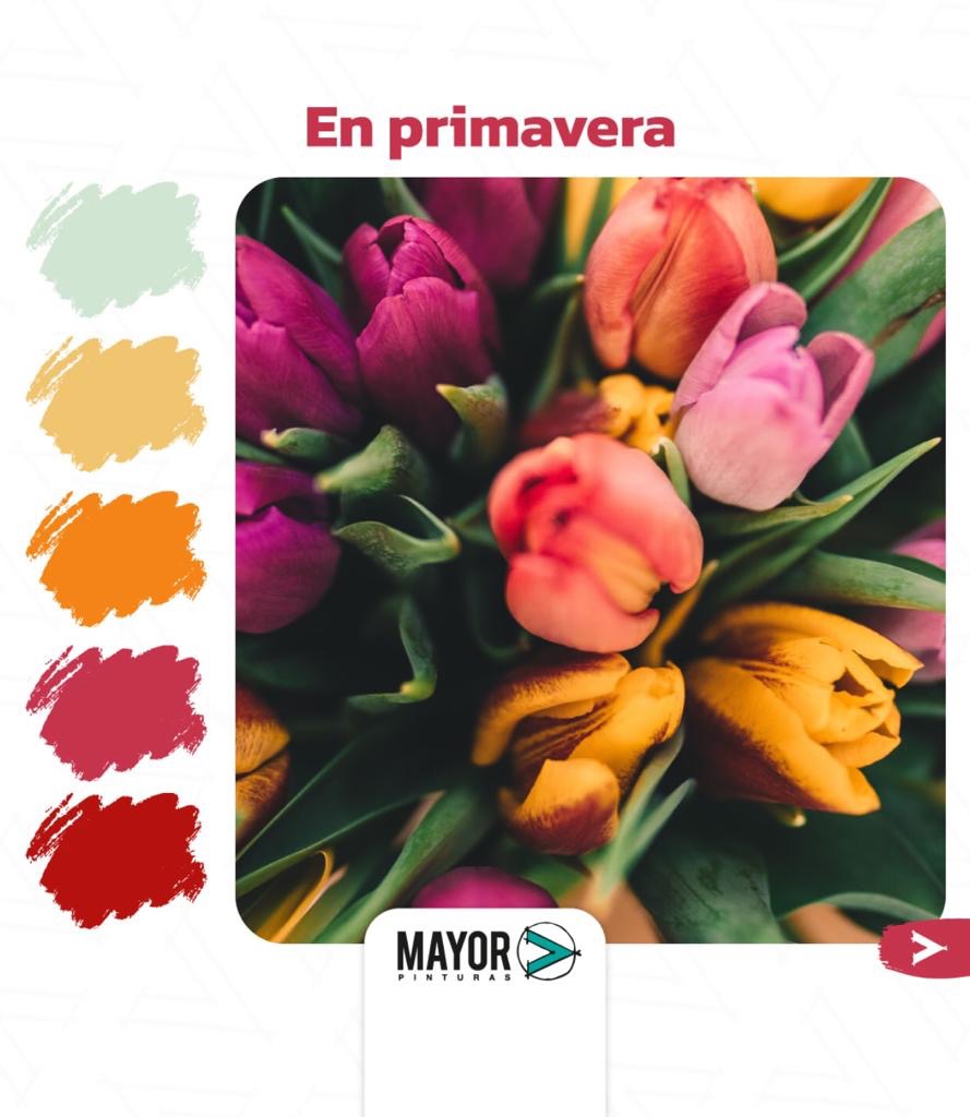 FERROTODO TACUAREMBÓ  