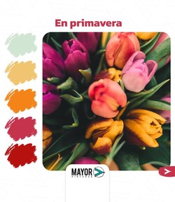 FERROTODO TACUAREMBÓ 