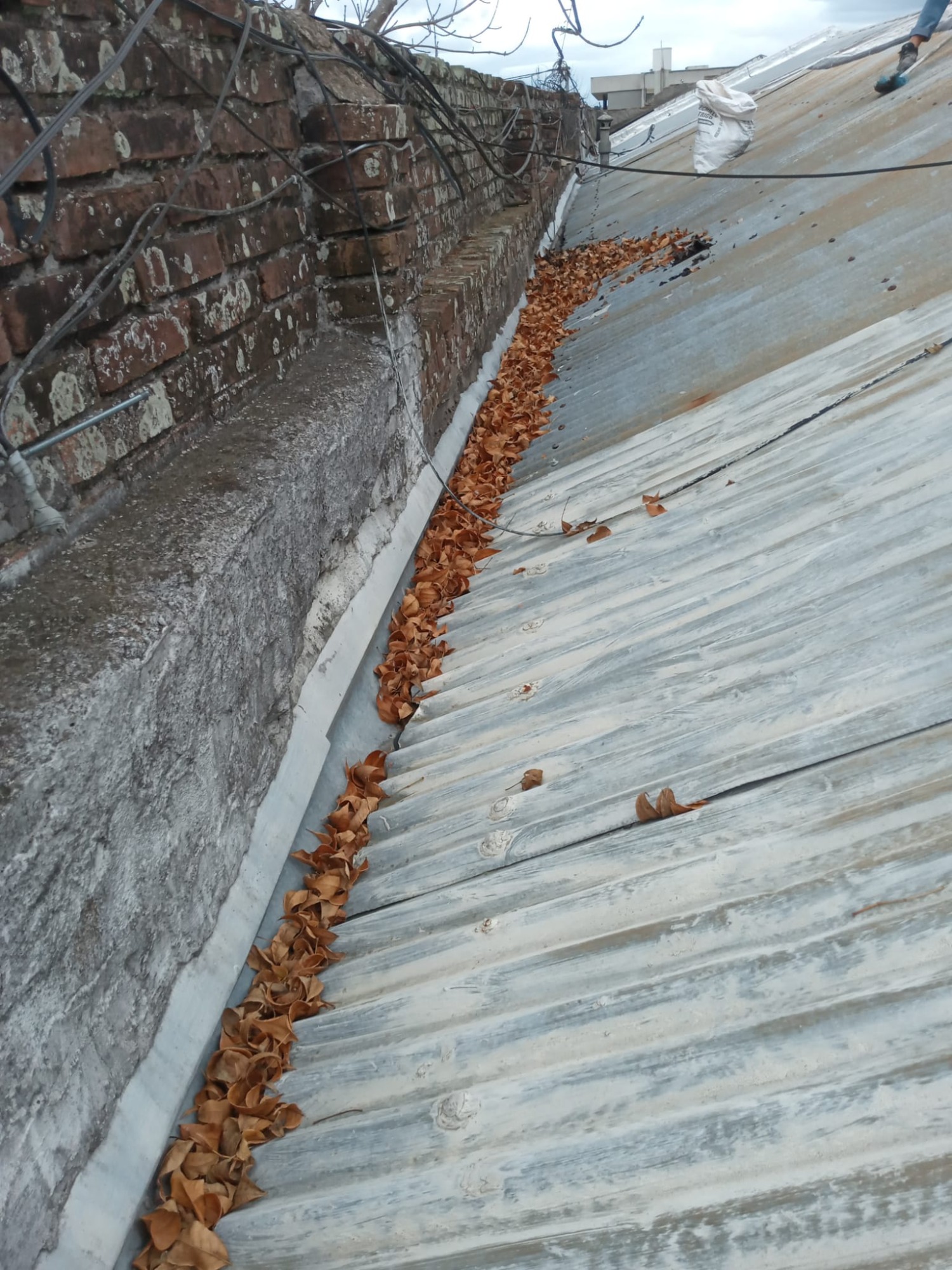 CONSTRUCCIONES DOUGLAS  