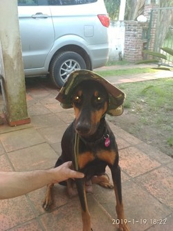 VETERINARIA NUEVA URUGUAYA 