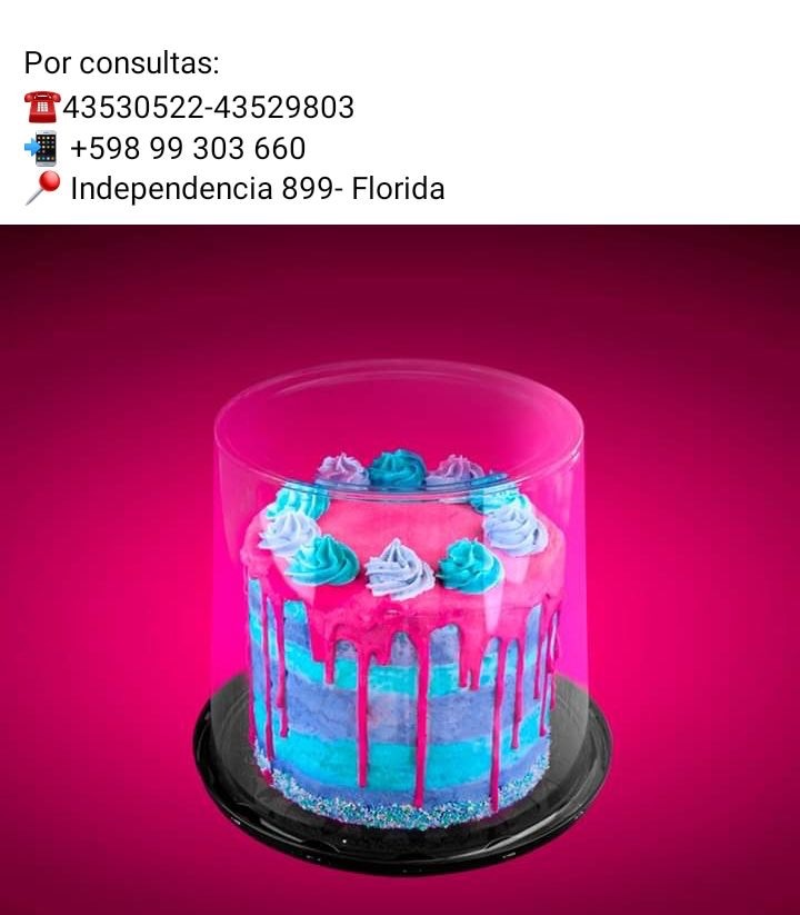 MULTI PLAST FLORIDA Tortera descartable  