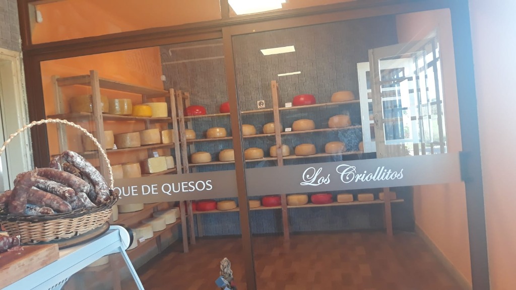 LOS CRIOLLITOS  