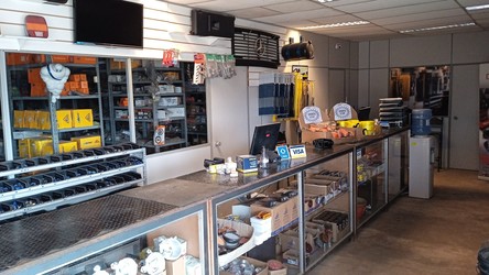 RODOEJES - TENGA ESTA FUERZA 