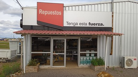 RODOEJES - TENGA ESTA FUERZA 