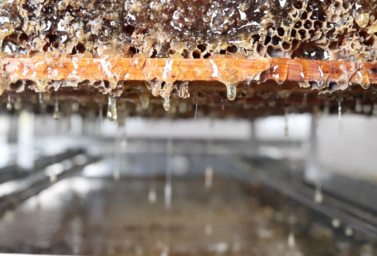 LA DULZURA DE BEJAMIA  