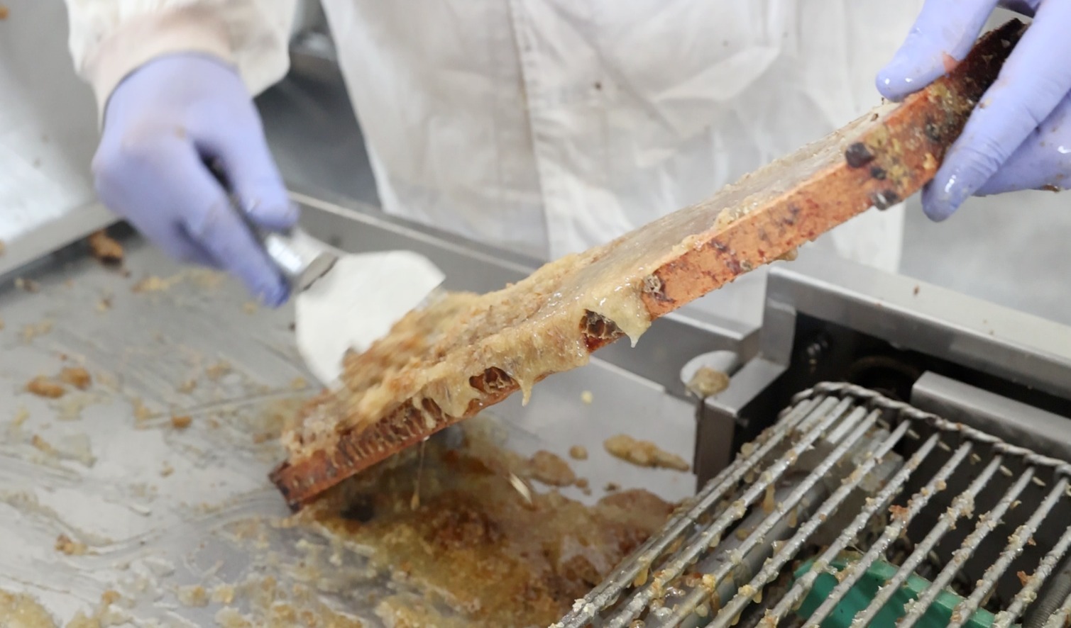 LA DULZURA DE BEJAMIA  