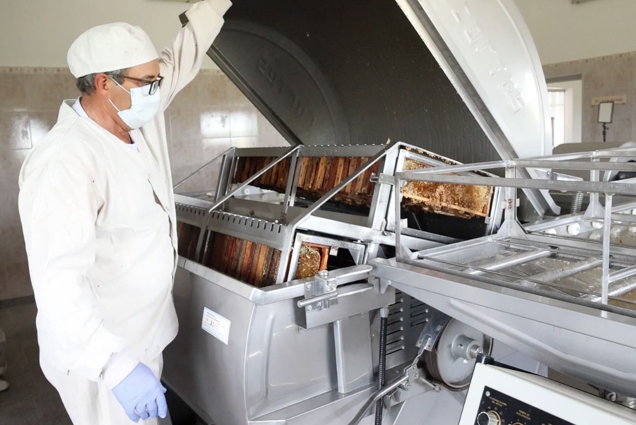 LA DULZURA DE BEJAMIA  