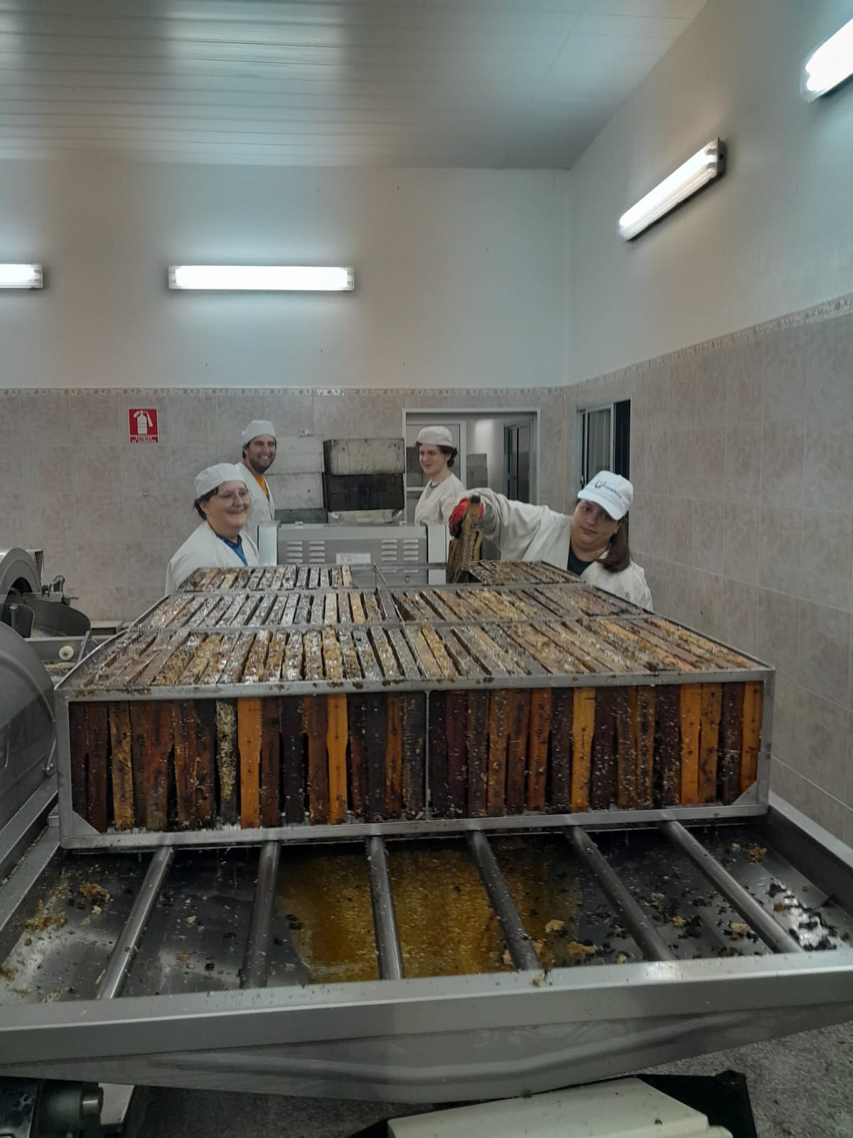 LA DULZURA DE BEJAMIA  