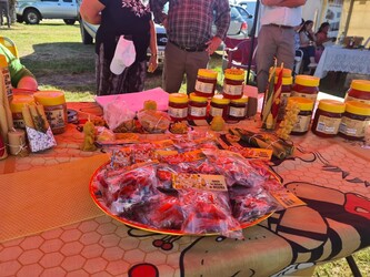 LA DULZURA DE BEJAMIA 