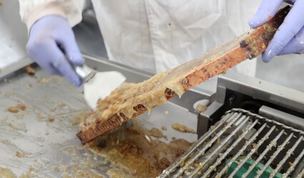 LA DULZURA DE BEJAMIA 